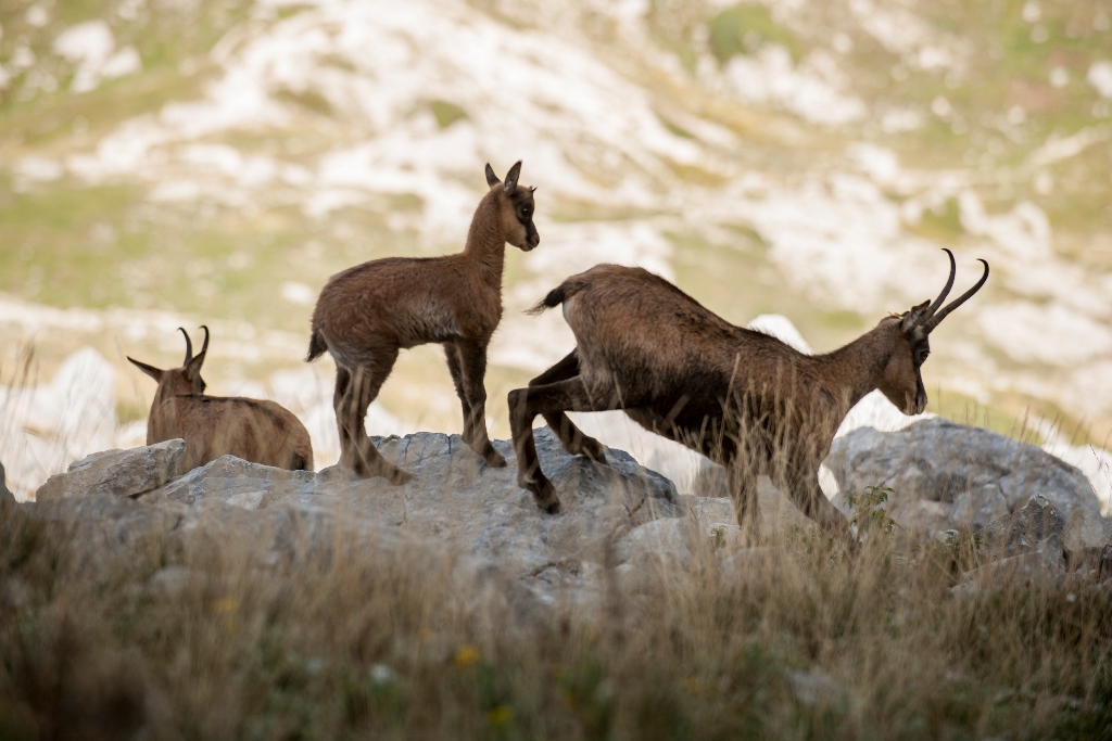 Fotografia di qualità, lo specchio dell’anima